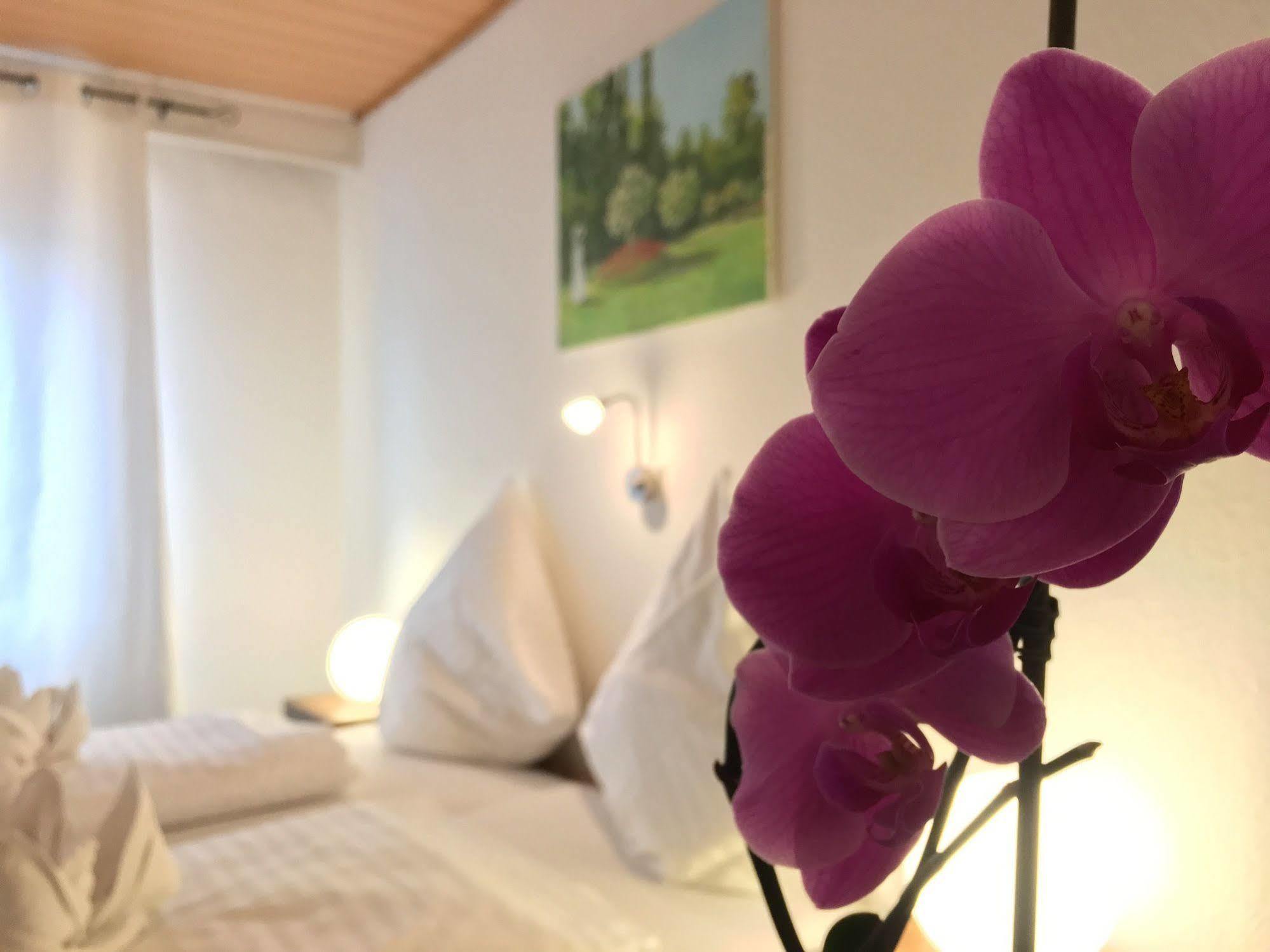City Hotel Diez 디즈 외부 사진